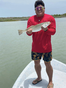 Calm seas, bent rods